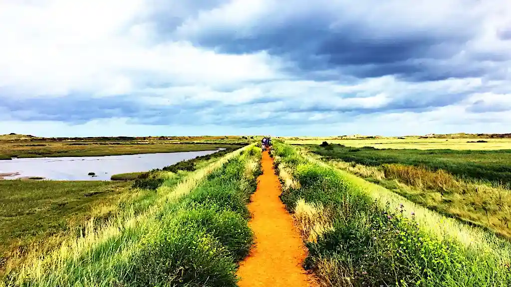 Cycle path on an embankment lined with green vegetation