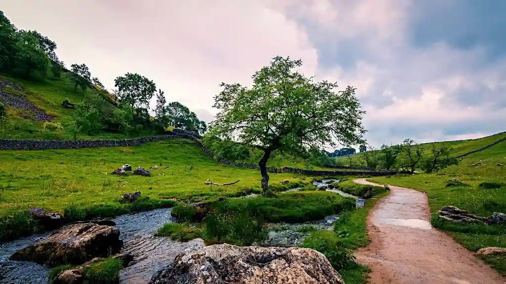 Sandy trail along a stream with hills and trees