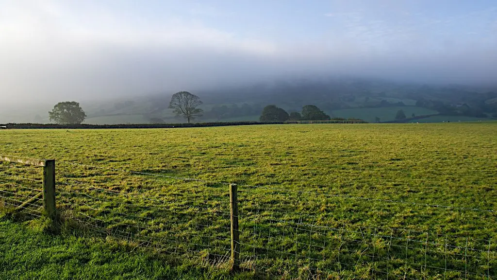 Green pasture with fence and forest in the background in the morning mist