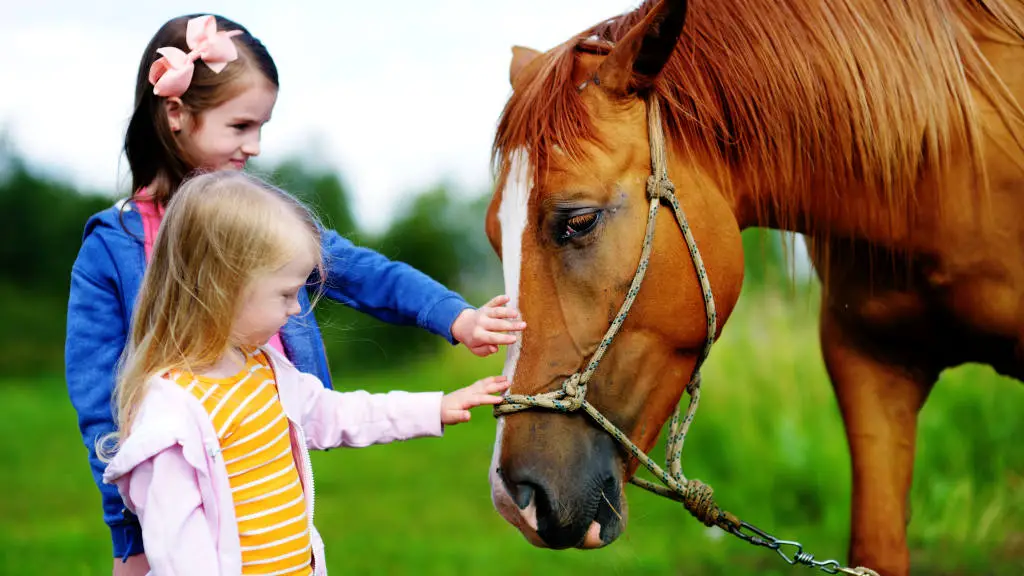 2 children stroking a horse