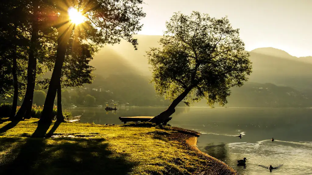 Sun shining through the seaside trees at a lake in the Lake District